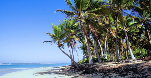 9 Motivos Para Visitar Punta Cana na República Dominicana