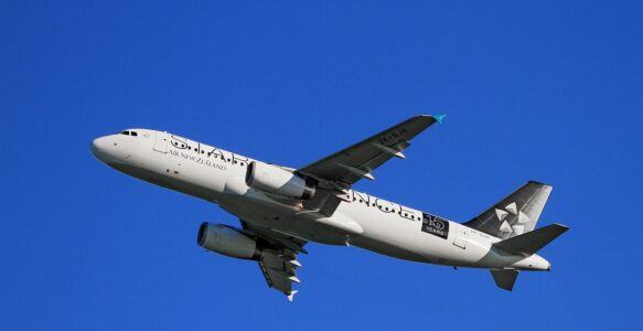 Preço Médio de Passagem Aérea Para Viajar Dentro da Nova Zelândia