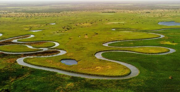 Como é o Clima Para Fazer Turismo no Delta do Okavango em Botsuana