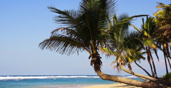 Dicas Para os(as) Turistas nos Deslocamentos em Punta Cana na República Dominicana