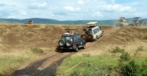 Como é o Clima Para Fazer Turismo em Ngorongoro na Tanzânia
