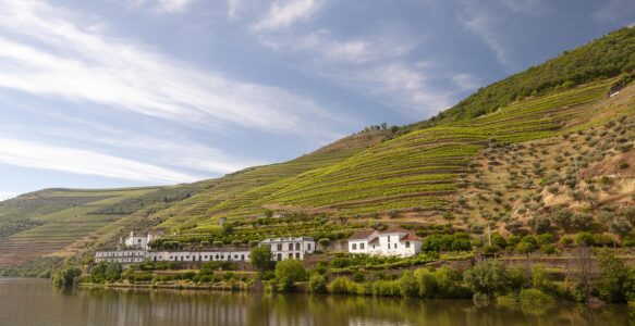 As Melhores Vinícolas Para Conhecer na Região do Porto em Portugal