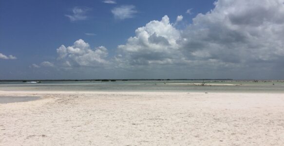 Atrações Turísticas Para Crianças na Isla Holbox no México