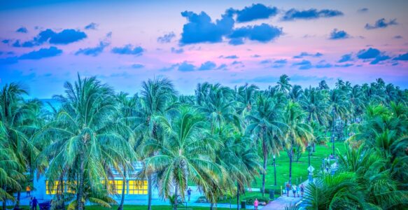 10 Experiências Únicas Para Turistas em Miami nos Estados Unidos