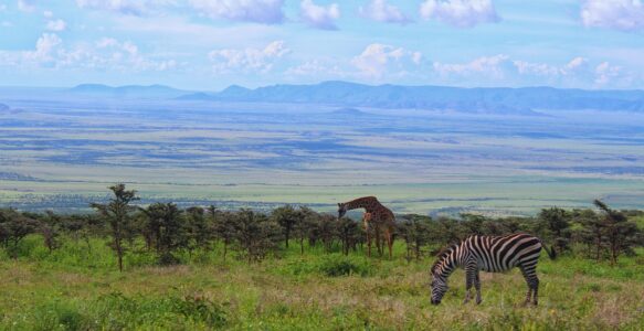 Turismo no Parque Nacional Serengeti na Tanzânia