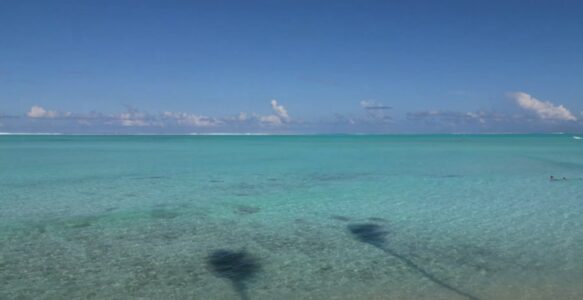 Explorando o Paraíso: As Melhores Praias Para Curtir a Polinésia Francesa