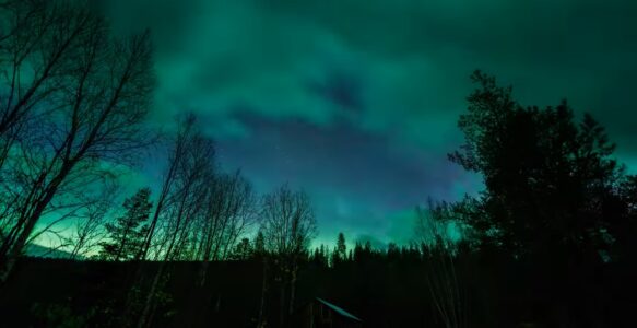 Turista Pode Fotografar a Aurora Boreal Usando Apenas um Celular?