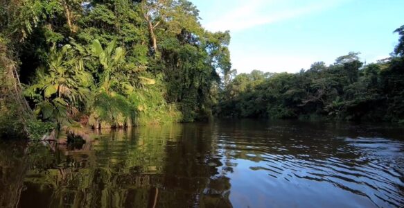 Os Melhores Parques Naturais Para Visitar na Costa Rica