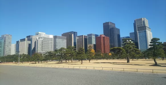20 Curiosidades Sobre Turismo em Tóquio no Japão