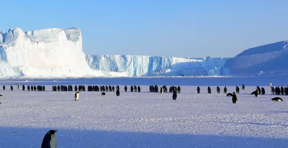 Antártida: Um Continente de Extremos e Descobertas