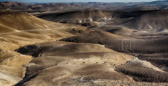 O Mar Morto e o Deserto do Negev: Tesouros Antigos e Belezas Naturais em Israel