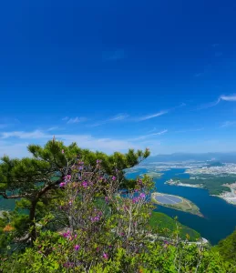 Chuncheon: O Encanto Sereno da Manhã Calma e a Beleza de Nami Island
