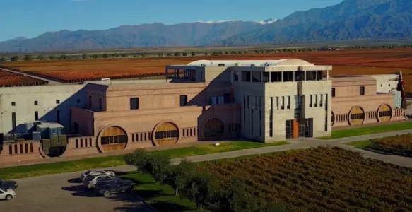 Explore o Mundo do Vinho em Mendoza: Guia Completo de Tours e Roteiros Autoguiados