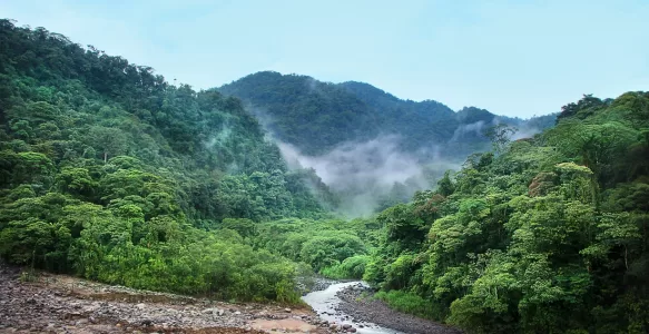 Costa Rica: O Destino Turístico com Biodiversidade e Paz