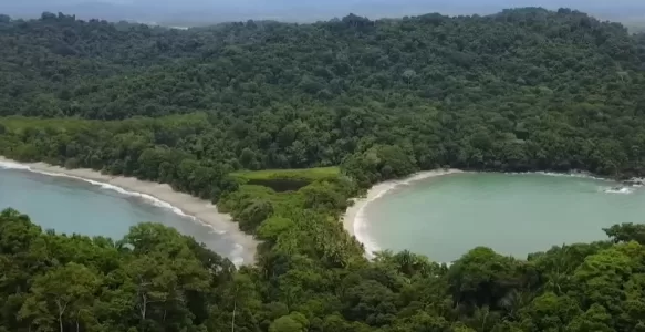 A Maravilha Natural de Manuel Antonio: Biodiversidade e Beleza Tropical na Costa Rica