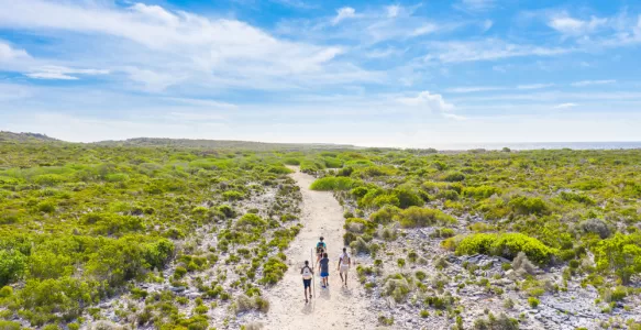 Anguilla Além das Praias: Explore a História e a Natureza com Excursões Exclusivas