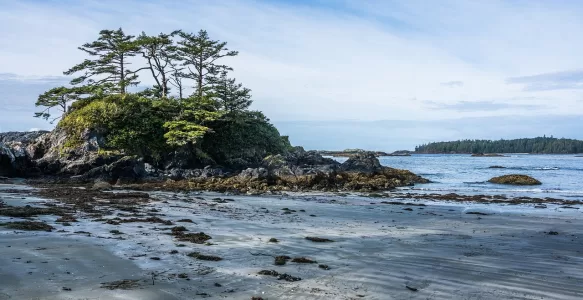 Descubra Vancouver Island: A Jóia Natural do Canadá