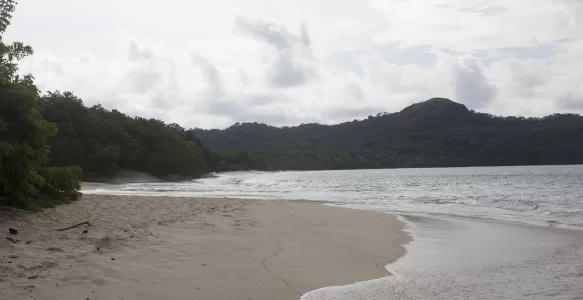 Aventura em Terra: Descubra a Diversidade Natural da Costa Rica