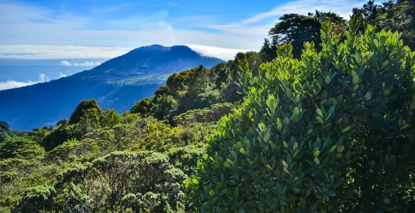Meios de Hospedagem na Costa Rica: Do Luxo de Cadeias Internacionais até a Experiência Sustentável em Eco Lodges