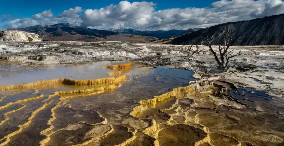 Guia Para Arrumar sua Mala Para Visitar o Parque Nacional de Yellowstone