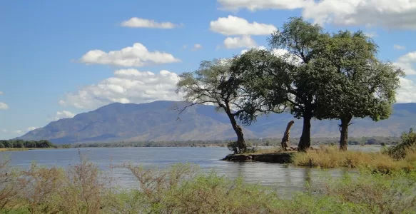 Dicas Úteis Para os Viajantes se Deslocarem em Zâmbia na África