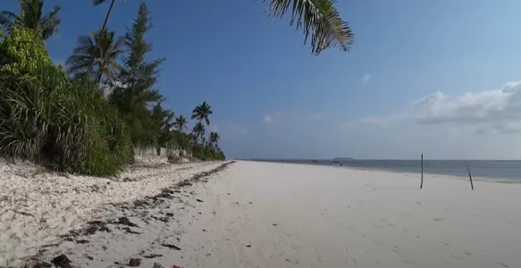 Matemwe Beach: Tesouro do Nordeste de Zanzibar Para os Amantes do Snorkeling