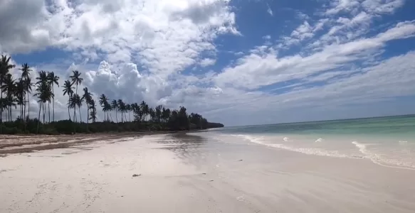 Uroa Beach: Praia Tranquila no Leste de Zanzibar