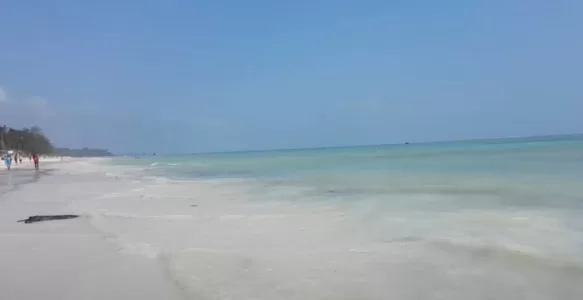 Kiwengwa Beach: Praia Paradisíaca no Leste de Zanzibar