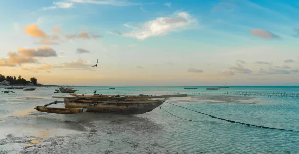 Descubra Zanzibar: Um Paraíso de Cultura e Diversidade na África