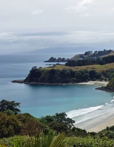 Experiências Turísticas Interessantes na Nova Zelândia