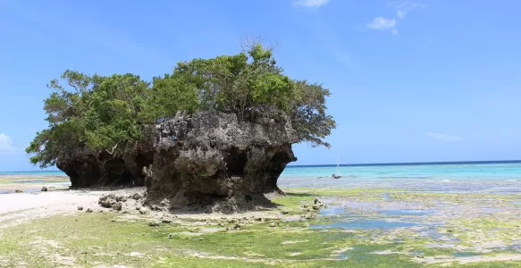 Explore a Beleza Multifacetada de Zanzibar: Guia Prático Para Viajantes