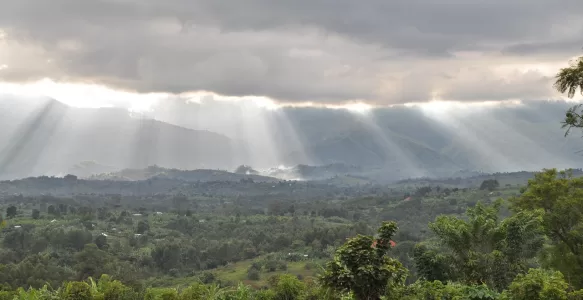 Parque Nacional das Montanhas Rwenzori: Tesouro Natural e Histórico de Uganda
