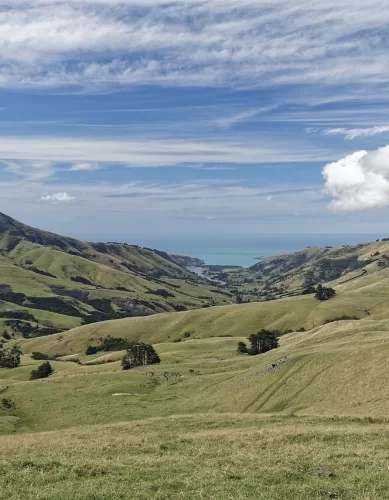 Como Explorar a Ilha Sul: Um Roteiro Pelos Destinos Mais Fascinantes da Nova Zelândia