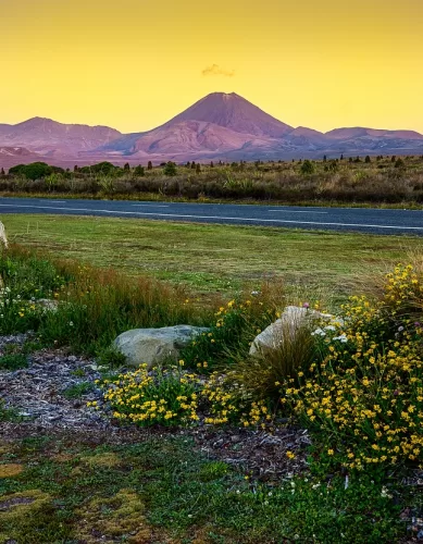 Descubra a Nova Zelândia: 15 Lugares Imperdíveis Para Todo Turista Visitar