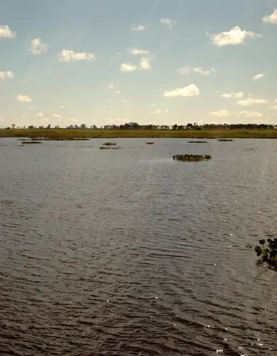 O Encanto do Pantanal em Mato Grosso do Sul: 10 Razões Para os Turistas Conhecerem Este Paraíso Natural