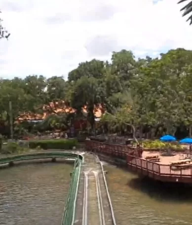 Busch Gardens Tampa Bay: Experiência Única de Parque Temático