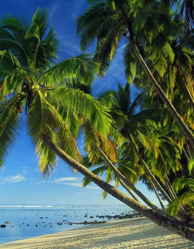 Motivos Irresistíveis Para Visitar as Ilhas Cook