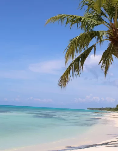 10 Motivos Para Conhecer a Ilha Saona na República Dominicana
