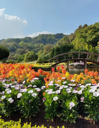 Como é o Clima Para Fazer Turismo em Chiang Mai na Tailândia