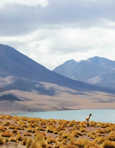 As Melhores Paisagens Naturais do Deserto do Atacama no Chile