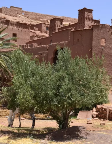 Kasbah de Ait Benhaddou: Uma Fortaleza no Deserto Marroquino