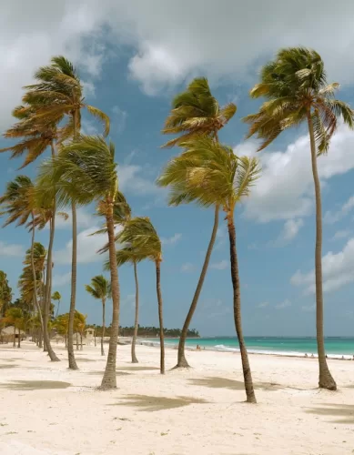 10 Verdades que os Turistas Precisam Saber Sobre Punta Cana
