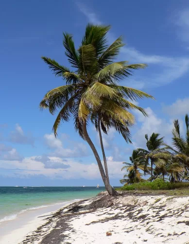Como foi Minha Experiência de Viagem em Punta Cana na República Dominicana