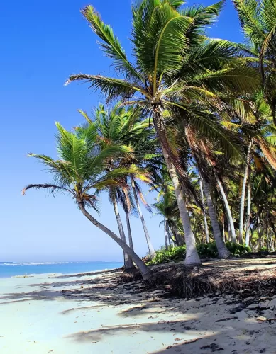 O Que os Turistas Precisam Saber Sobre as Praias em Punta Cana na República Dominicana