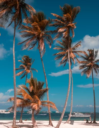 Pontos Positivos e Negativos da Viagem em Punta Cana na República Dominicana
