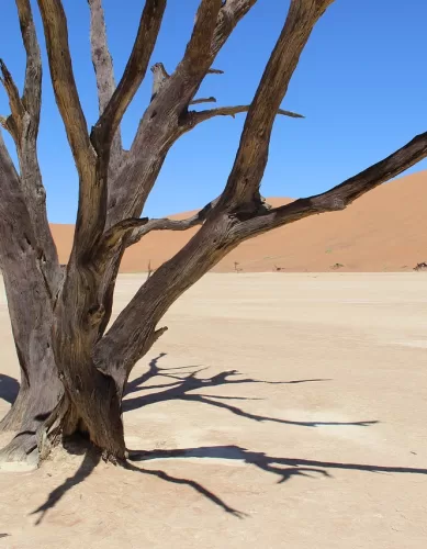 Como é o Deserto da Namíbia na África