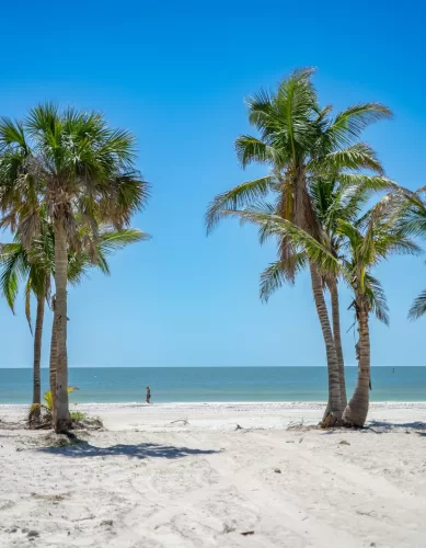 Naples: Praias Deslumbrantes e um Toque de Luxo na Costa Oeste da Flórida