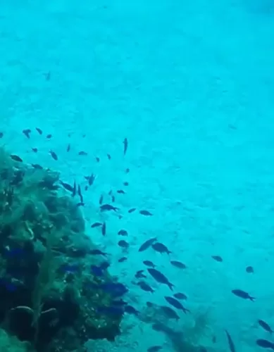 As Melhores Áreas Para Mergulho em San Andrés na Colômbia