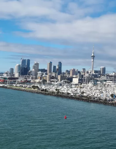 Quais são as Melhores Opções de Passeios de Barco em Auckland na Nova Zelândia?