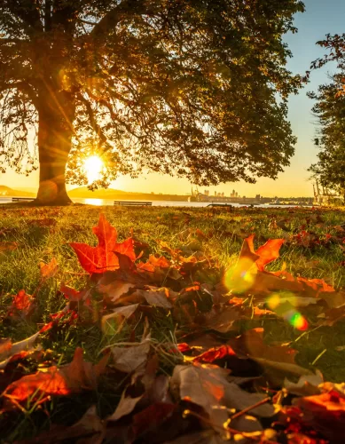 Como o Turista Pode Aproveitar o Stanley Park em Vancouver no Canadá